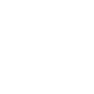 Non-profit icon